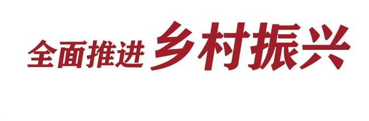 【開發區】蘭州新區現代農業示範園342.7萬株果蔬育苗長勢喜人_fororder_新區2