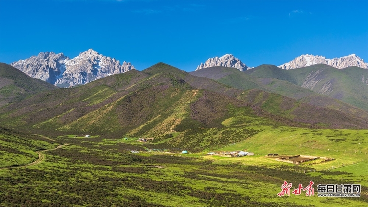 【大美甘肅】草原雪山邀白雲 山花牧群醉輕風 夏日武威天祝的美需要用心體會_fororder_4