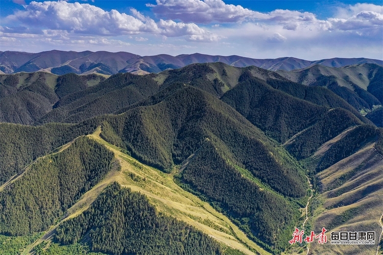 好不愜意 在景泰壽鹿山聽松濤觀雲海_fororder_1