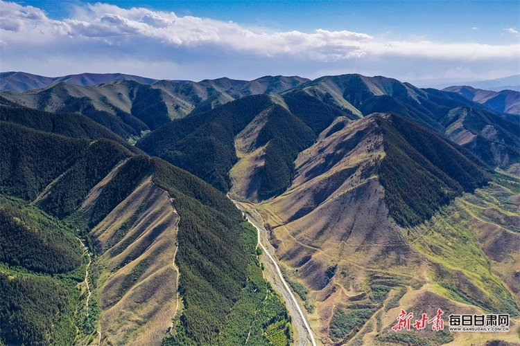 好不愜意 在景泰壽鹿山聽松濤觀雲海_fororder_2