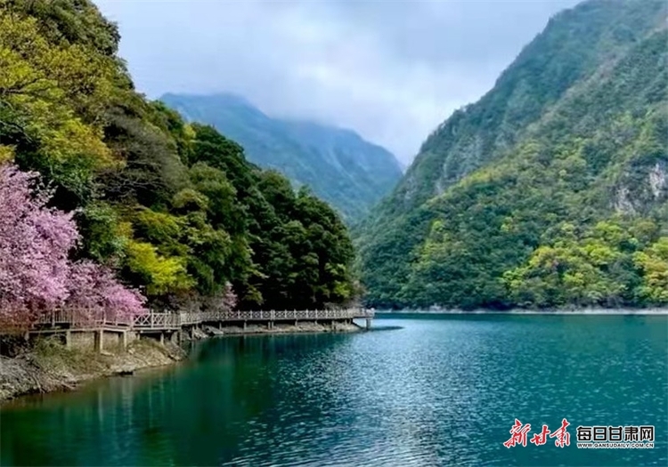 【焦點圖】湖光山色兩相宜 水墨丹青詩畫裏 夏日文縣天池美出新境界_fororder_1