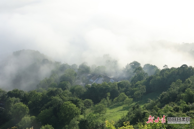 【焦點圖】隴南：群山逶迤雲海蒼茫 航拍康縣毛埡雲海如仙境_fororder_4