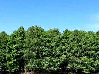 大美中國 | 端午時節縱覽祖國各地美景