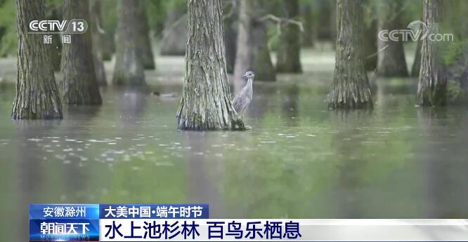 大美中國 | 端午時節縱覽祖國各地美景