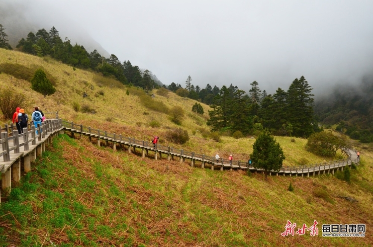 【焦點圖】隴南煙雨雷古山 十里杜鵑艷_fororder_5