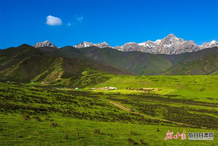 【大美甘肅】草原雪山邀白雲 山花牧群醉輕風 夏日武威天祝的美需要用心體會_fororder_6