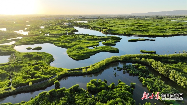 【焦點圖】夕陽余暉裏的張掖濕地公園_fororder_2