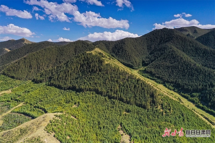 好不愜意 在景泰壽鹿山聽松濤觀雲海_fororder_4