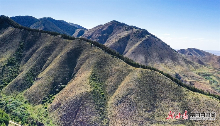 好不愜意 在景泰壽鹿山聽松濤觀雲海_fororder_5