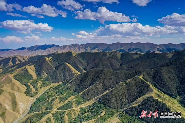 好不愜意 在景泰壽鹿山聽松濤觀雲海_fororder_3