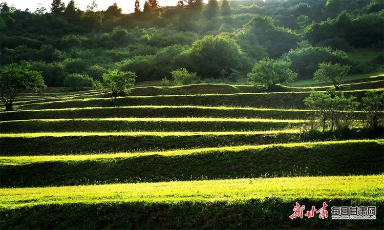 【大美甘肅】都是封面 天水清水非子牧場有你不曾見過的風景_fororder_7