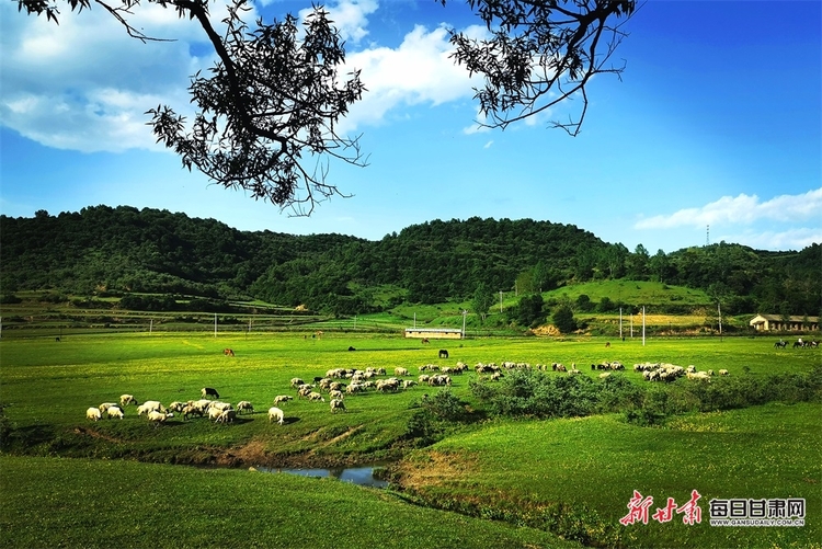 【大美甘肅】都是封面 天水清水非子牧場有你不曾見過的風景_fororder_5