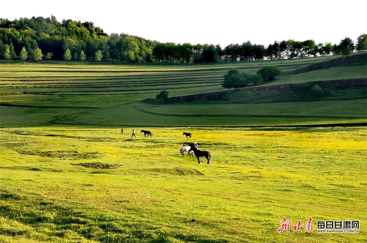 【大美甘肅】都是封面 天水清水非子牧場有你不曾見過的風景_fororder_11