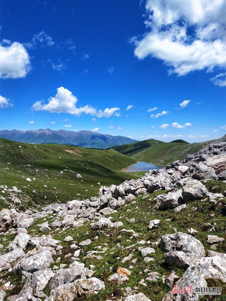 【輪播圖】躺在草原看雪山 聽著牧歌賞杜鵑 天祝的夏日美得讓人窒息_fororder_5