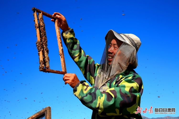 【張掖】張掖：甘州區花寨鄉追花釀蜜的養蜂人_fororder_4