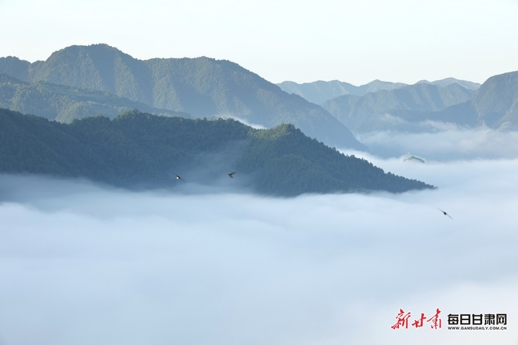 隴南康縣城關鎮馮家峽的雲海太美了_fororder_2