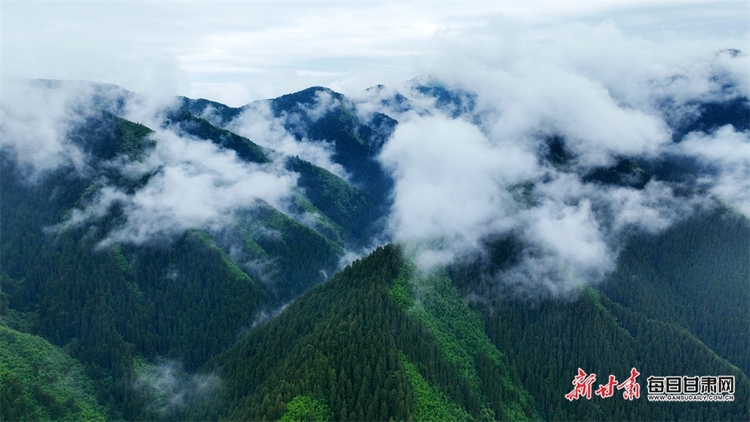 【焦點圖】蘭州：群山逶迤 雲海蒼茫 雨後興隆山如仙境_fororder_5