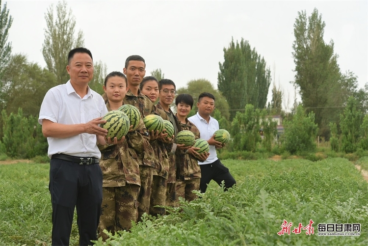 敦煌市轉渠口鎮的小拱棚西瓜熟了_fororder_2