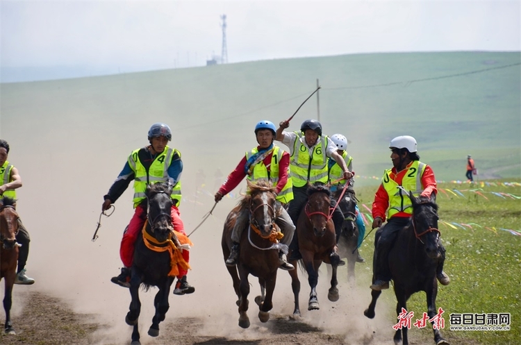 【大美甘肅】定西岷縣：駿馬馳騁狼渡灘 草原盛會迎客來_fororder_3