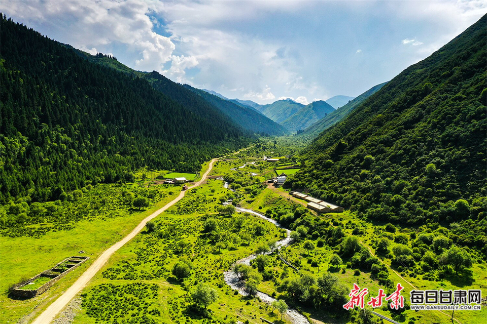 【焦點圖】層層山巒競秀色 茫茫林海翻碧浪 卓尼大峪溝比畫還美_fororder_2