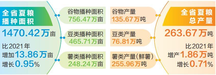 雲南夏糧實現面積産量雙增長_fororder_fe5