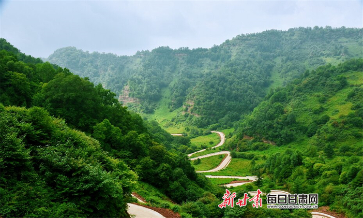 【焦點圖】夏日 在華亭關山坐看雲起靜聽松濤_fororder_2