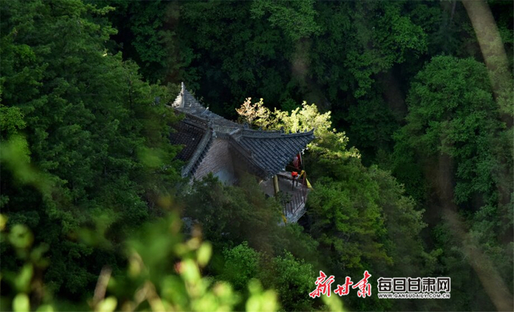 【焦點圖】夏日 在華亭關山坐看雲起靜聽松濤_fororder_1