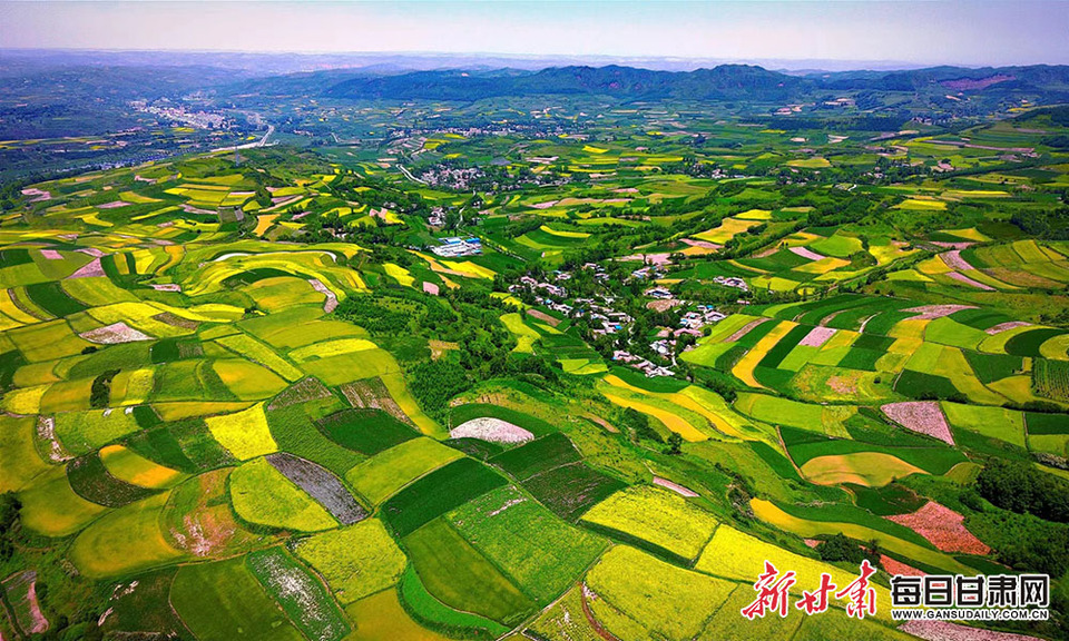 【大美甘肅】定西渭源：五彩斑斕田園美 避暑納涼好去處_fororder_1