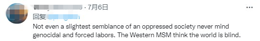 海外網友熱評西方涉疆謊言：虛偽的美國沒有資格批評他國！_fororder_圖片9