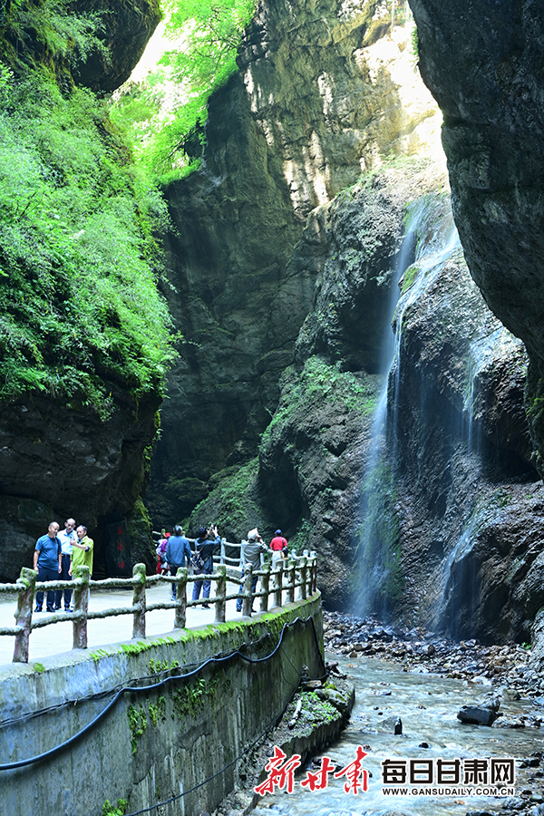 隴南宕昌：飛瀑流泉處處景 避暑納涼官鵝行_fororder_8