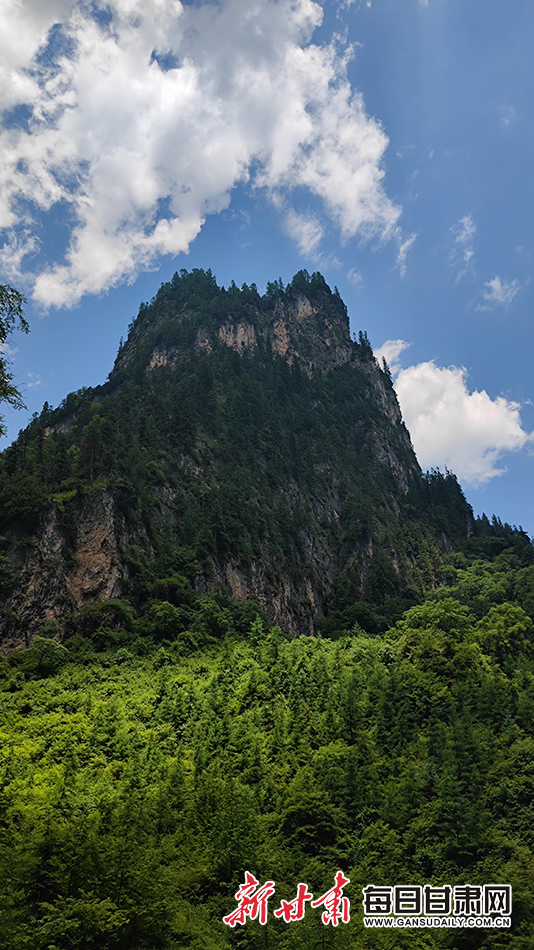 隴南宕昌：飛瀑流泉處處景 避暑納涼官鵝行_fororder_3