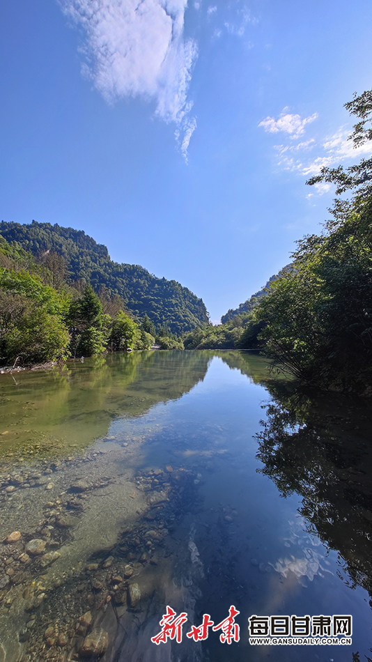 隴南宕昌：飛瀑流泉處處景 避暑納涼官鵝行_fororder_5