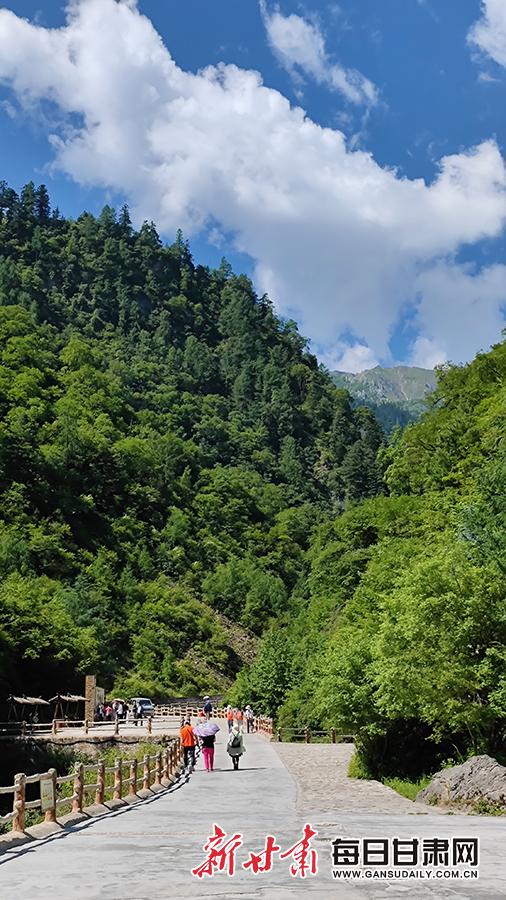 隴南宕昌：飛瀑流泉處處景 避暑納涼官鵝行_fororder_1