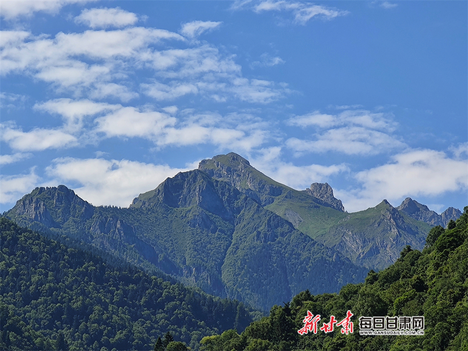 【大美甘肅】巍峨群山藍黛染 綠波翻滾醉眼簾 隴南宕昌黃家路林區移步皆是景_fororder_1