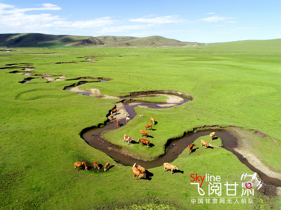 【焦點輪播圖】【飛閱甘肅】盛夏狼渡灘 藏在定西岷縣的草原秘境_fororder_1