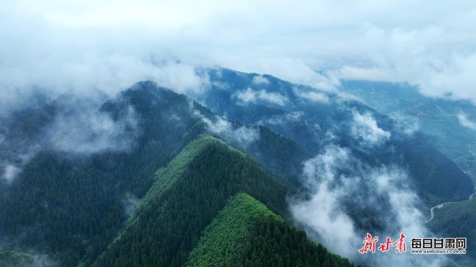 【大美甘肅】蘭州榆中興隆山：山色空蒙雨亦奇 雲煙縹緲似畫卷_fororder_5