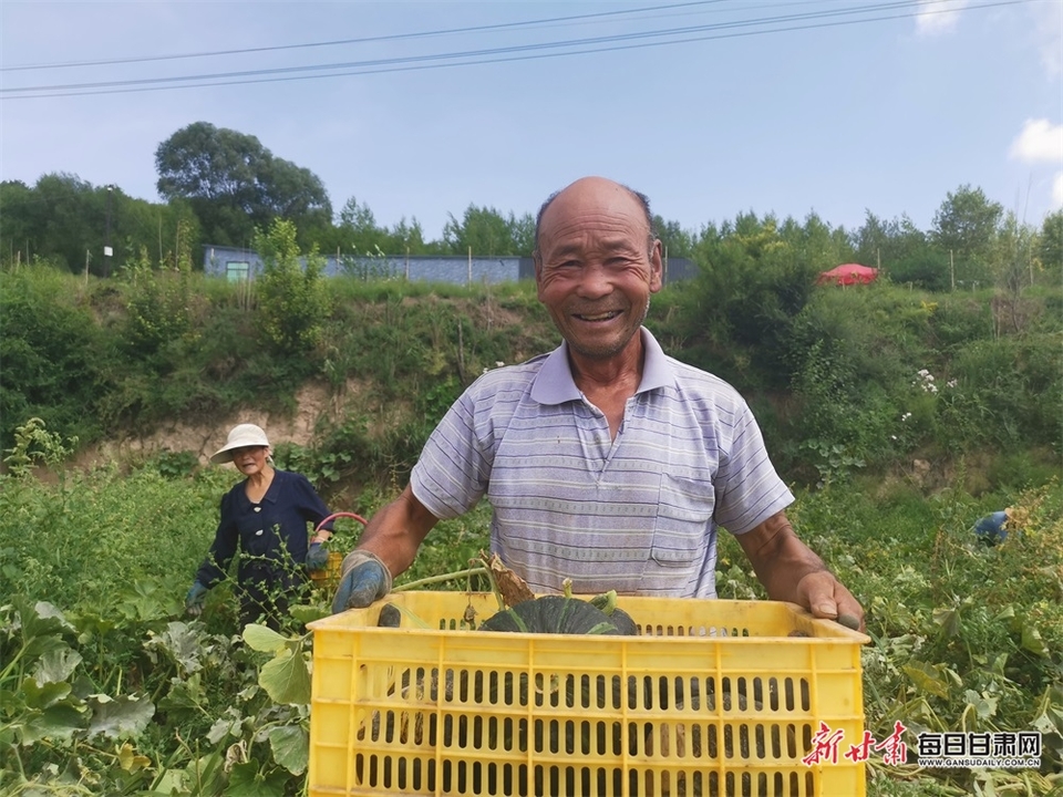 【平涼】平涼莊浪：梯田瓜果飄香 特色産業富農_fororder_3