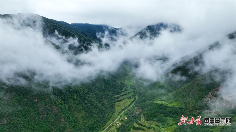 【大美甘肅】蘭州榆中興隆山：山色空蒙雨亦奇 雲煙縹緲似畫卷_fororder_2