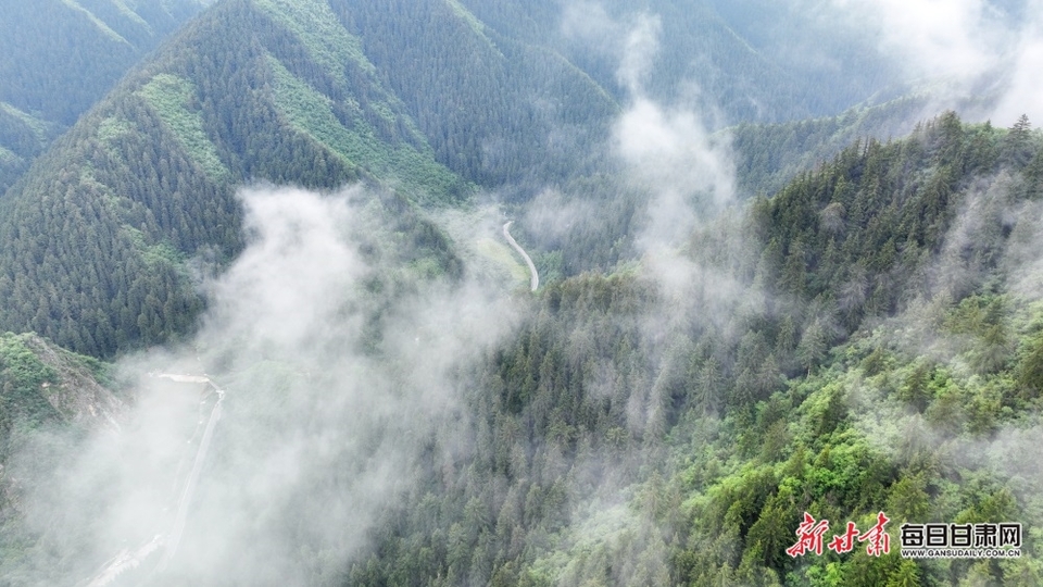 【大美甘肅】蘭州榆中興隆山：山色空蒙雨亦奇 雲煙縹緲似畫卷_fororder_6