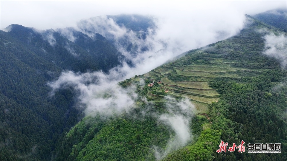 【大美甘肅】蘭州榆中興隆山：山色空蒙雨亦奇 雲煙縹緲似畫卷_fororder_3