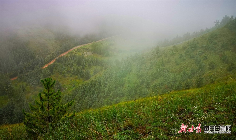 【大美甘肅】白銀景泰壽鹿山：雲霧繞山巒 秋日畫意濃_fororder_4