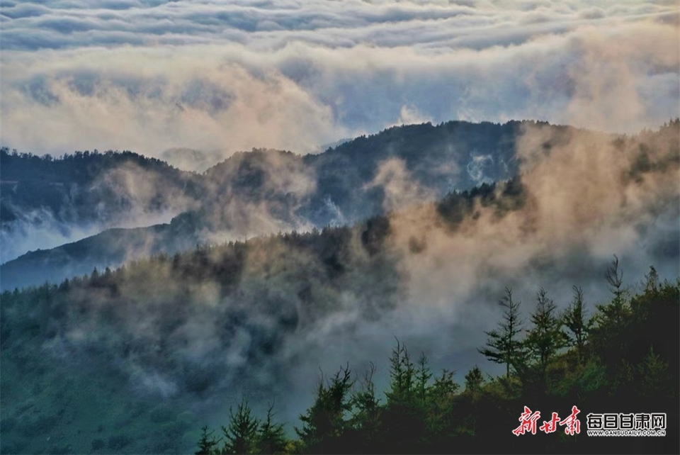 【平涼】平涼華亭關山蓮花臺景區出現壯美雲海景觀_fororder_5