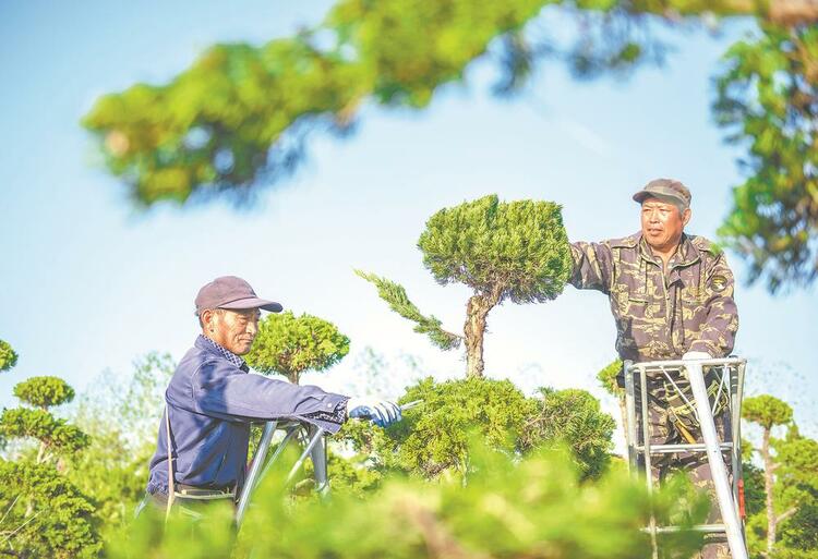 安徽：圓夢小康 再啟新程_fororder_微信圖片_20221018100511