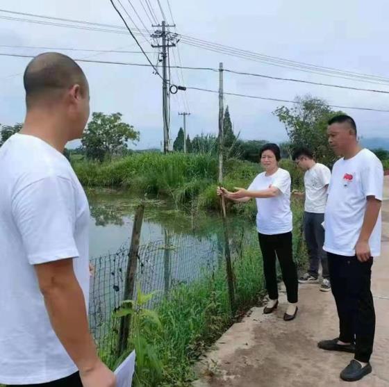 方賽花：鄉村振興的“領頭人” 村民心裏的“親閨女”_fororder_微信截圖_20221110225040