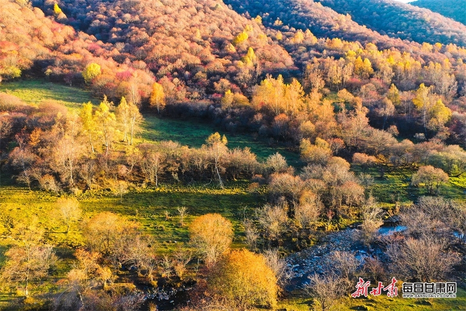 【天水】天水張家川關山秋色關不住了_fororder_1