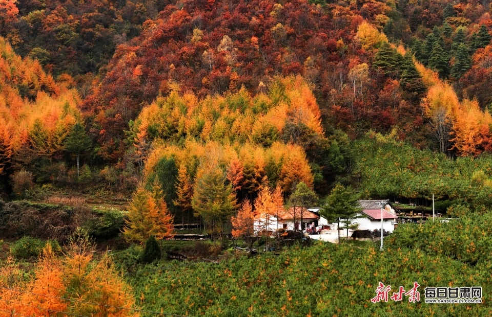 【輪播】隴南：在兩當邂逅秦嶺深處的最美姿彩