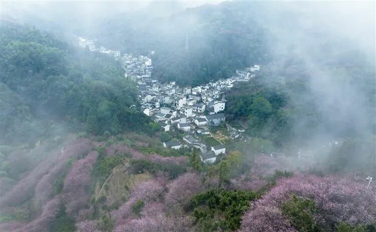 世界的黃山 黃山的世界——由春之中國屯溪“國際會客廳”到冬之黃山市國際高端“1+6”圓桌對話會的回眸_fororder_微信圖片_20221216090127