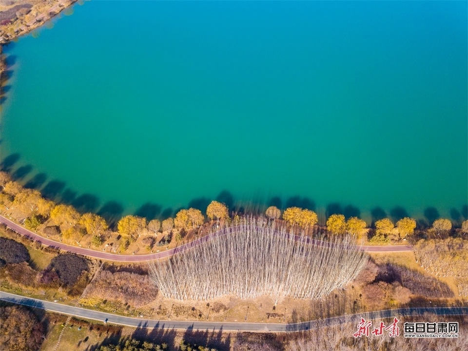 【張掖】張掖蘆水灣公園的冬日美景