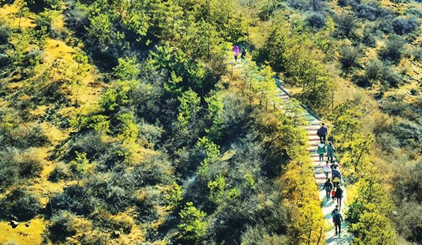 Taiyuan Surpasses Afforestation Task in 2021