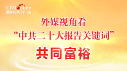 外媒視角看“中共二十大報告關鍵詞”|共同富裕_fororder_鍏卞悓瀵岃_860-484